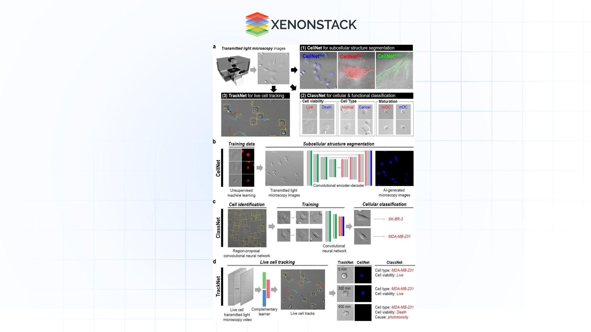 biological monitoring of cellular actions