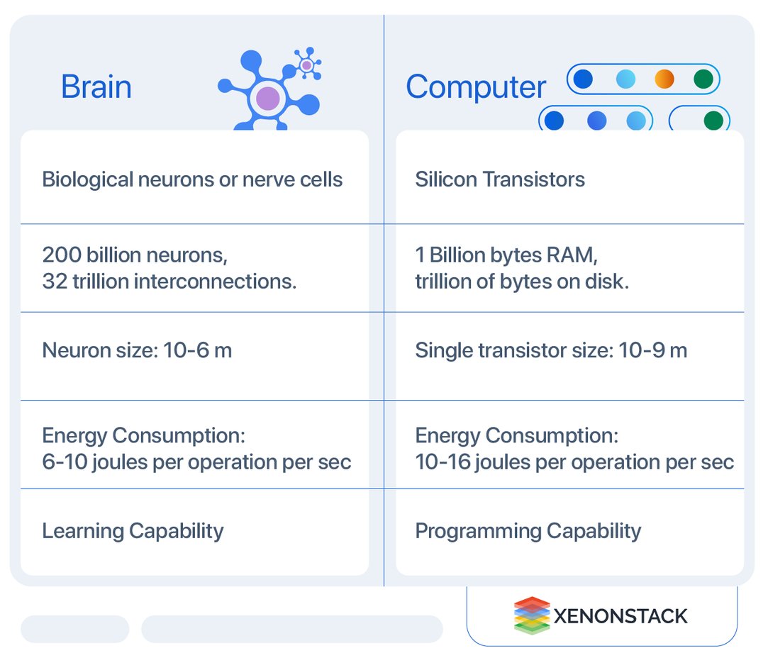 Difference between brain and computer