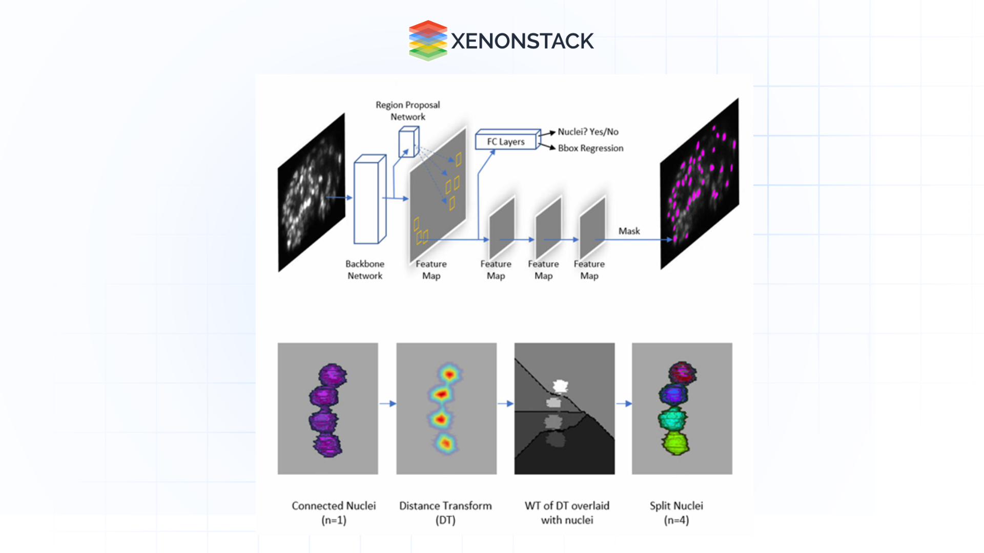 distance transform based nuclei segmentation