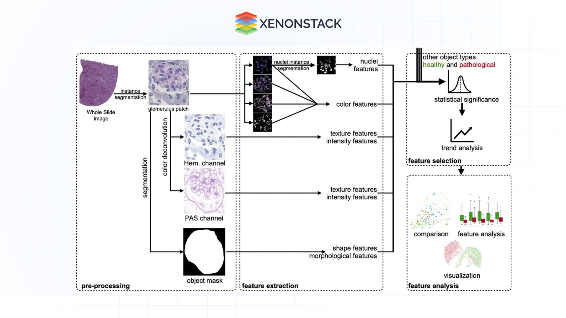 extraction of several kinds of features