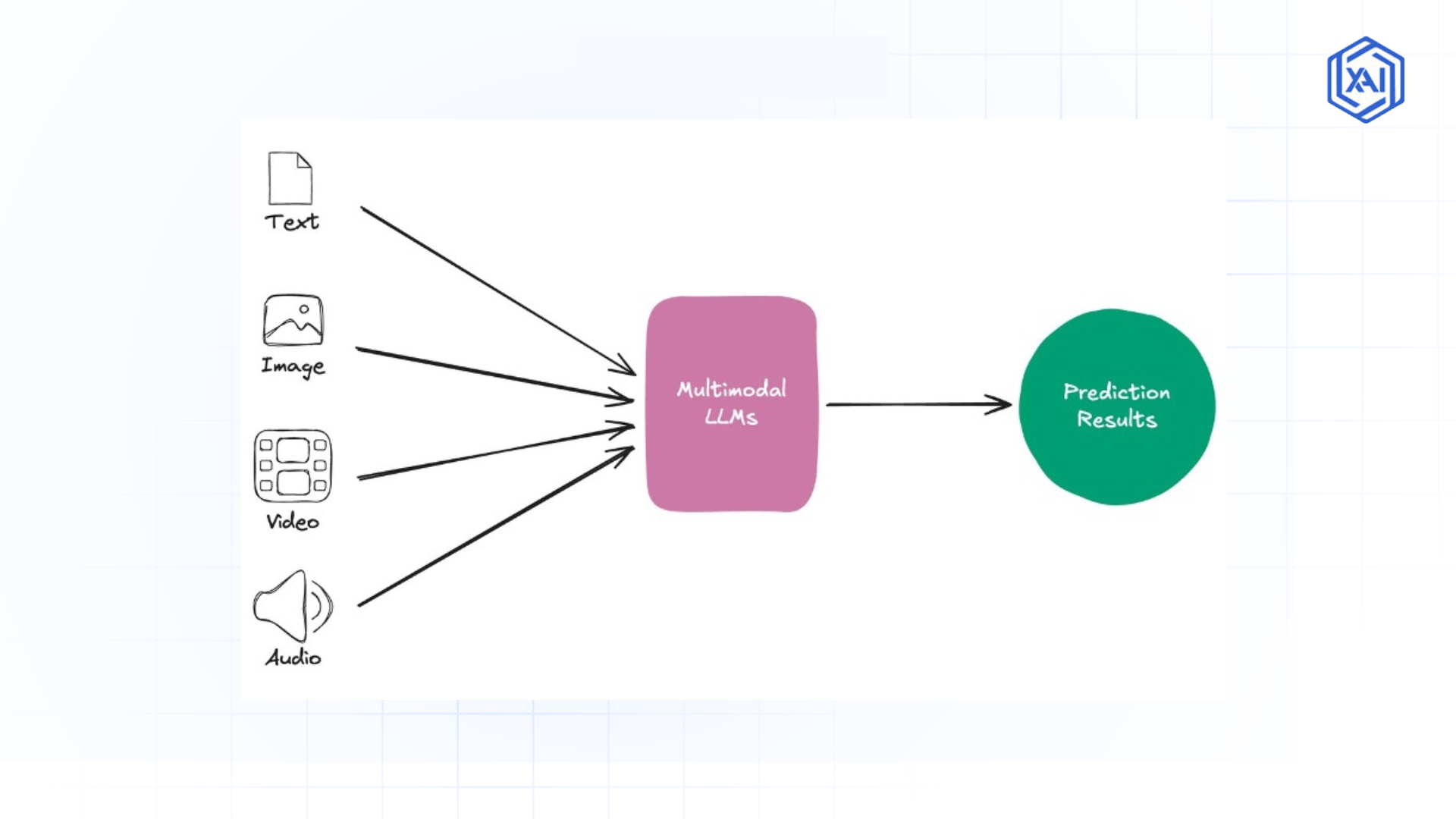 Multimodal LLMs Processing Diverse Data Inputs