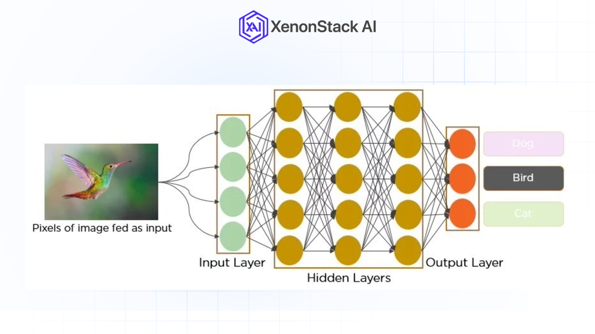 neural network in computer vision