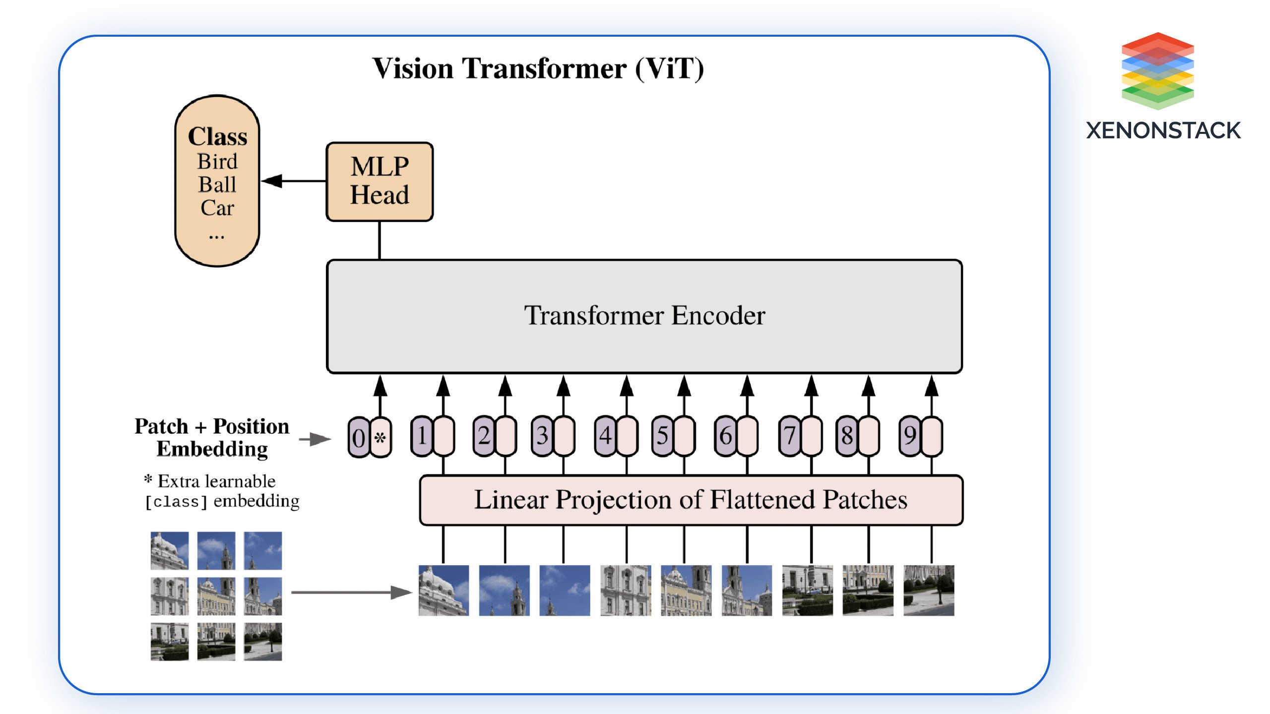 ViT architecture